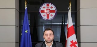 ქვემო ქართლში სახელმწიფო რწმუნებულის მოადგილედ ნიკა კობახიძე დაინიშნა