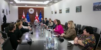 გარემოს დაცვის მინისტრი რუსთავის მსხვილი საწარმოების ხელმძღვანელებს შეხვდა