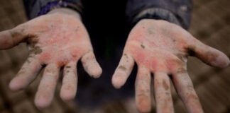 ინსპექცია- 15 წლის ბიჭს ფერმაში იძულებით ამუშავებდნენ