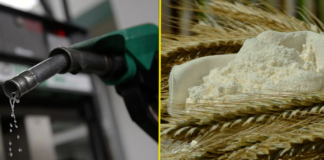 ხორბლისა და ფქვილის მარაგი და საწვავის გაძვირება – რა თქვეს მთავრობის სხდომაზე