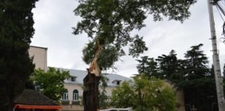 ბოლნისში ძლიერმა ქარმა პრობლემები შექმნა