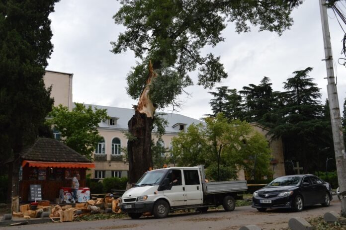 0F0900FC-DDEA-4B5E-B054-CCC8605A7129