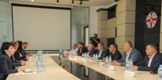 გიორგი დოხტურიშვილი, შერიგებისა და სამოქალაქო თანასწორობის საკითხებში მინისტრ თეა ახვლედიანს შეხვდა