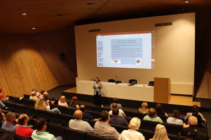 289318536_404077415092966_1437565707332172197_n