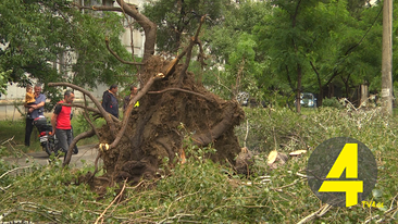 289941278_693871915039982_4485657486557152742_n