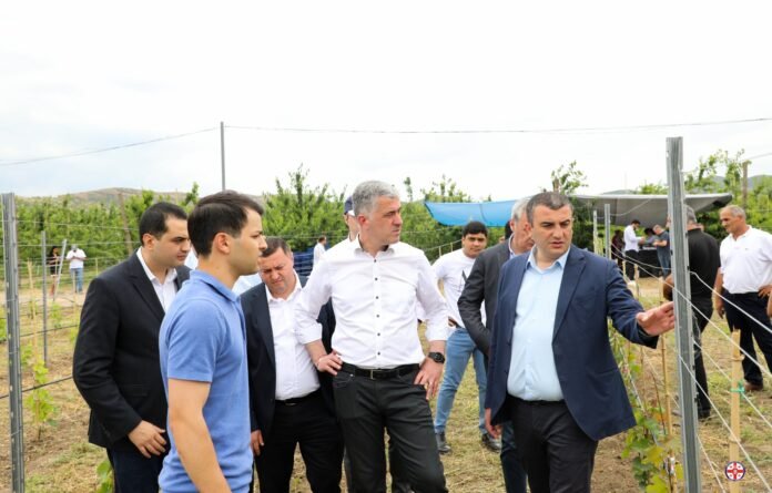 290080747_403084711862796_4388838799223113074_n