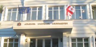 რუსთავის საკრებულოს წევრს ფიზიკურ ძალადობას ედავებიან- სასამართლო სხდომა გაიმართა