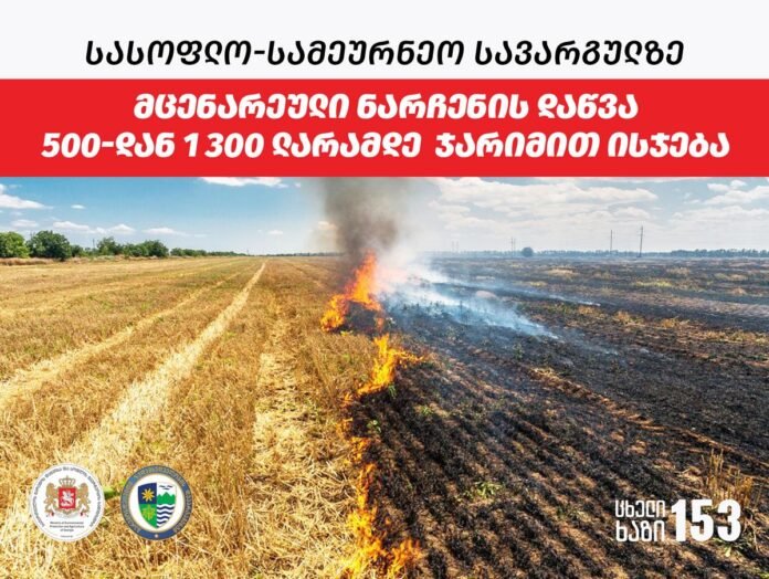 294382254_407942554697098_1809320762053502480_n