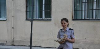 თბილისის საგამოცდო ცენტრს პატარა სტუმარი ესტუმრა