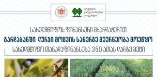 გარდაბნის მუნიციპალიტეტში ლურჯი მოცვის სანერგე მეურნეობა მოეწყო