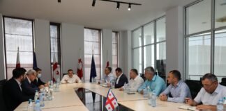 ქვემო ქართლის სახელმწიფო რწმუნებული საქართველოს მუნიციპალური განვითარების ფონდის აღმასრულებელ დირექტორს შეხვდა