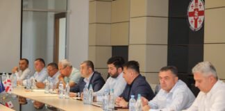 გიორგი დოხტურიშვილი საქართველოს გაერთიანებული წყალმომარაგების კომპანიის დირექტორს შეხვდა