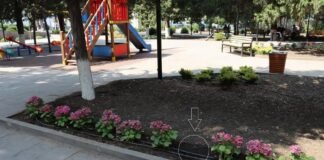 ბოლნისის მუნიციპალიტეტის მერიის განცხადება