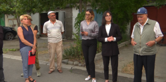 ნინო სულაძე მოსახლეობას შეხვდა