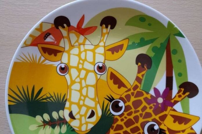 untitled-design-2022-07-27t123232-216