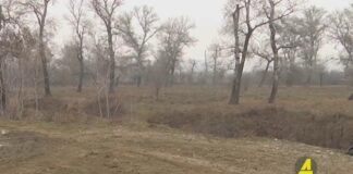 Xronika ქრონიკა აზერბაიჯანულ ენაზე 14.07.2022