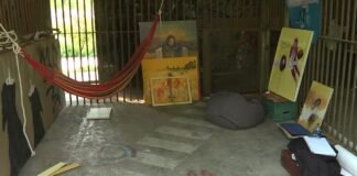 პროექტი 168 – რუსთაველი მხატვრები ვოლიერებში ცხოვრობენ