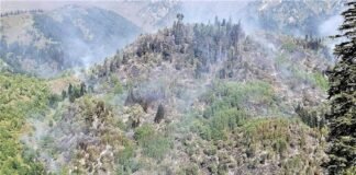 შავნაბადას ტყეში გაჩენილი ხანძარი ლოკალიზებულია