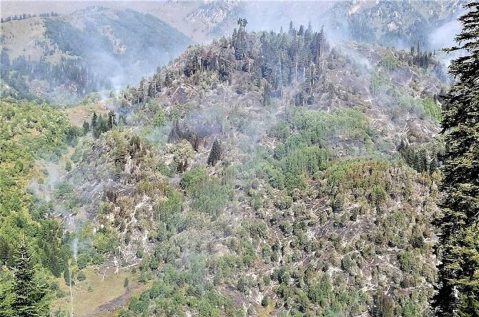 21317737_460057404380760_7069717088881837832_n