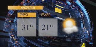 ,,ქრონიკის” დაიჯესტი 29.07.2022
