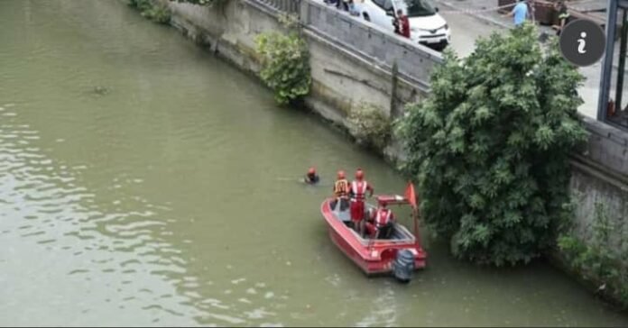 297402152_590511299117333_5876432741938873080_n