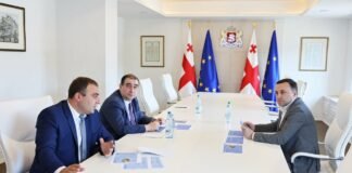 ირაკლი ღარიბაშვილის ინიციატივით მასშტაბური პროექტის განხორციელება დაიწყება