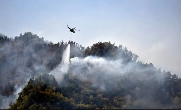 299943587_638255997499386_779232643931250559_n