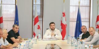 ნიკა კობახიძე საქართველოს ბავშვთა და სასკოლო სპორტის ეროვნული ფედერაციის პრეზიდენტს შეხვდა nika kobaxidze