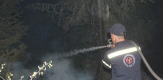 ბორჯომში ხანძრის ქრობის სამუშაოები მთელი ღამის განმავლობაში მიმდინარეობდა