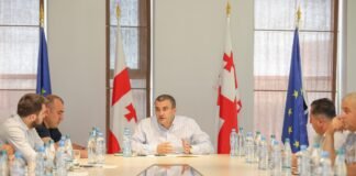 ქვემო ქართლში მიუსაფარ ცხოველთა ინტერმუნიციპალური თავშესაფარი შეიქმნება