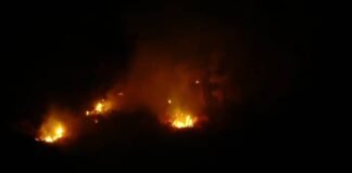 ცეცხლის ლოკალიზება თელეთის ქედზე ამ დრომდე გრძელდება