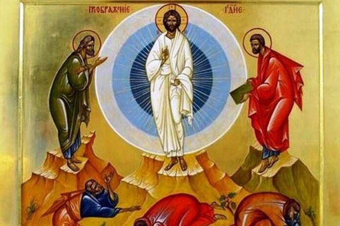 574e45b254436a26dd61f70fc5a1cad2_XL