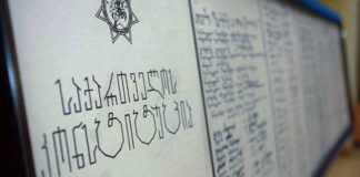 24 აგვისტო საქართველოს კონსტიტუციის დღეა