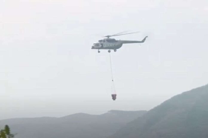 untitled-design-2022-08-28t122011-253