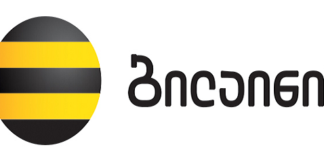 ბილაინის ქსელში შეფერხებაა