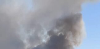 შავნაბადას ტყის ტერიტორიაზე ხანძარია