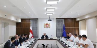 რეგიონებთან ურთიერთობის დეპარტამენტის უფროსი სახელმწიფო რწმუნებულებს შეხვდა