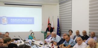 რუსთავის მერს ახალი მრჩეველთა საბჭო ჰყავს