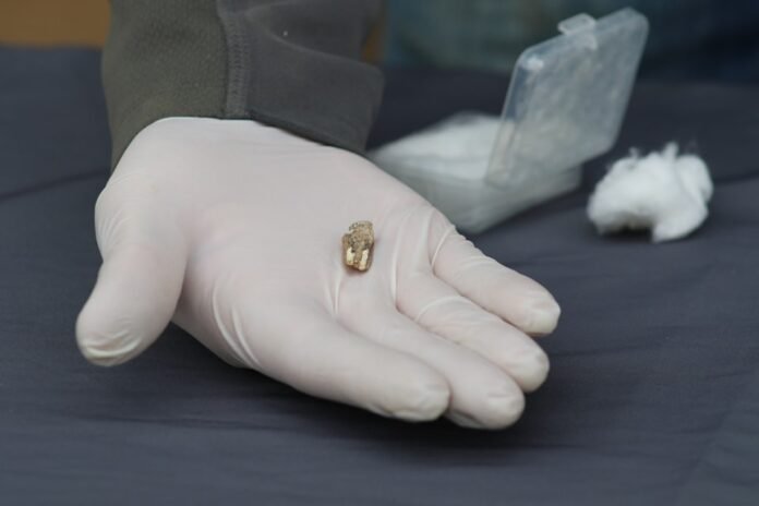 305847906_3018066468484658_1584861566203243760_n