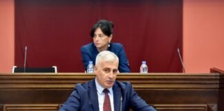 საგანგებო სიტუაციების მართვის სამსახურის უფროსმა ტყის ხანძრებისა და მათი პრევენციის შესახებ ისაუბრა