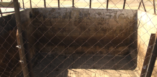 სოკოს საწარმო “თეთრმა ქუდმა” კომპოსტირება შეწყვიტა