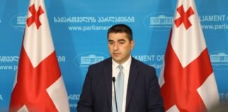 სახალხო დამცველის კანდიდატად წარდგენის მსურველთა განცხადებების მიღება დასრულდა