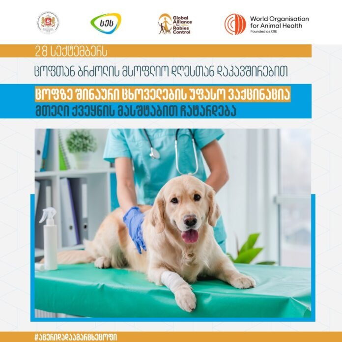 309564142_467639025399993_7056493945235712993_n