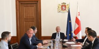 საპროცედურო საკითხთა და წესების კომიტეტის თავმჯდომარის პირველ მოადგილედ ირაკლი შატაკიშვილი აირჩიეს