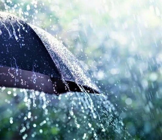 7-9 მარტს საქართველოში მოსალოდნელი ამინდი