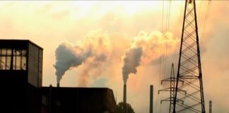 რუსთავში რეგულაციის შეუსრულებლობისთვის დაჯარიმებულია 17 საწარმო