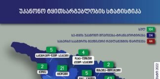 ქვემო ქართლში ხე-ტყის უკანონო მოპოვების 7 ფაქტი გამოვლინდა