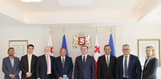 ირაკლი ღარიბაშვილი Tata Power-ის აღმასრულებელ დირექტორს შეხვდა