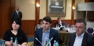 ბოლნისის მერი ადგილობრივ თვითმმართველობათა ფორუმის მეორე შეხვედრას დაესწრო