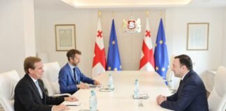 ირაკლი ღარიბაშვილი საფრანგეთის ელჩს დიეგო კოლასს შეხვდა